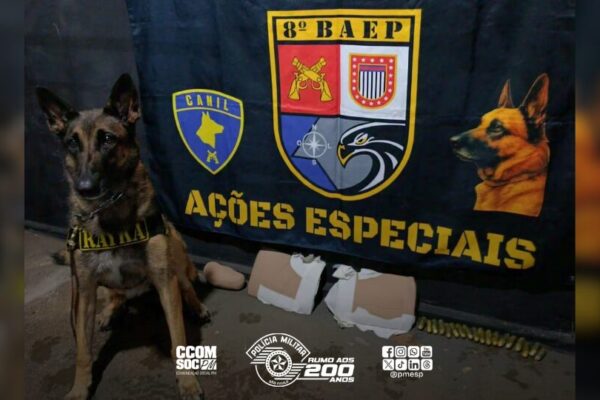 Copia-de-PORTAL-DE-NOTICIAS-23