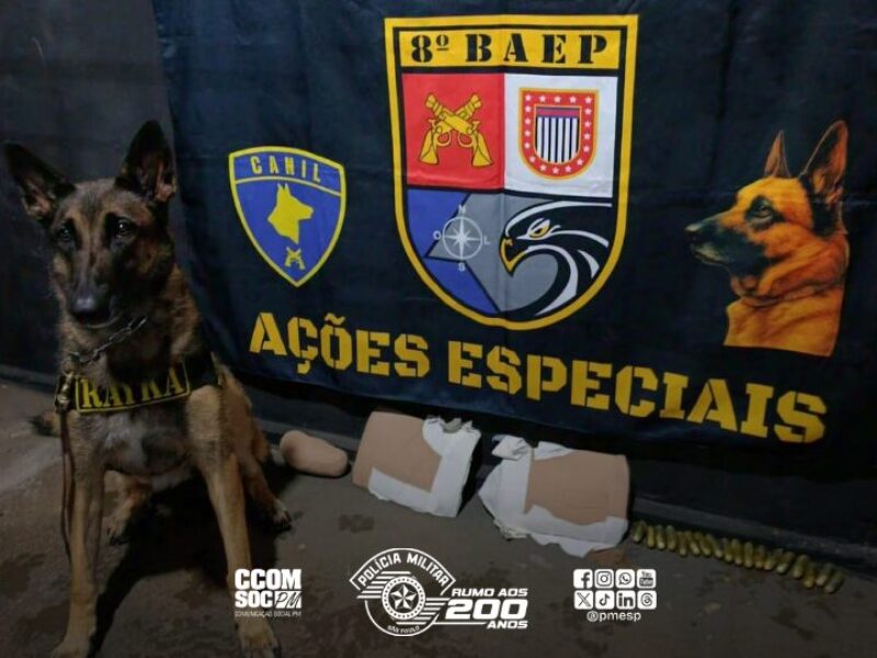 Copia-de-PORTAL-DE-NOTICIAS-23