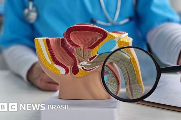 Disfunção erétil alerta sobre doenças graves, aponta Emmanuele Jannini
