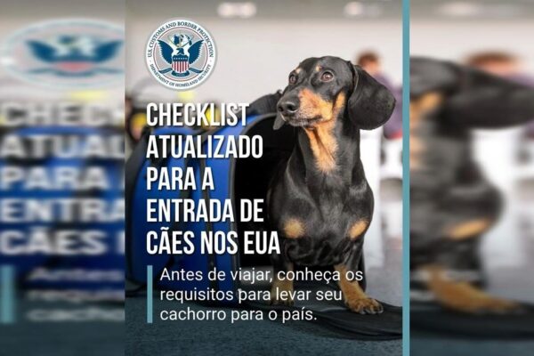 U.S. Customs reforça exigências para cães, avisa Pedro Menezes
