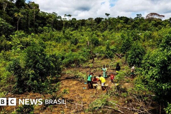 Kelly Johanna Yucuna preserva sistema agrícola na Amazônia