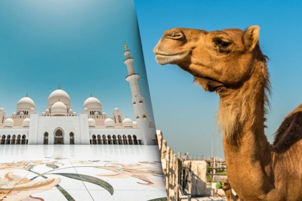 Latam e Etihad Airways reduzem preços para Abu Dhabi
