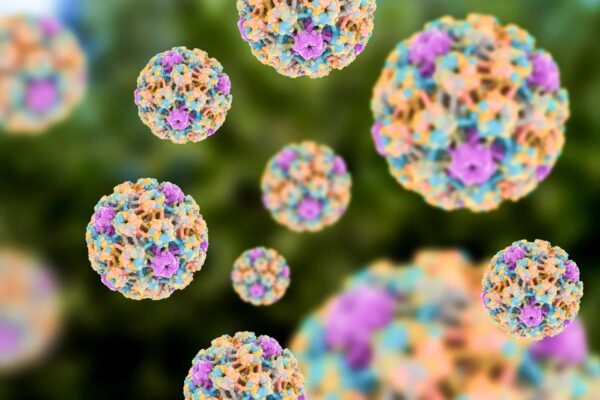 Ministério da Saúde aponta alta prevalência de HPV masculino