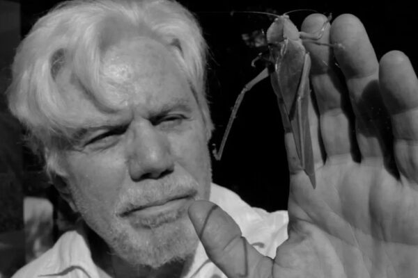 Festival de Cinema de Cuiabá exibe 67 produções brasileiras