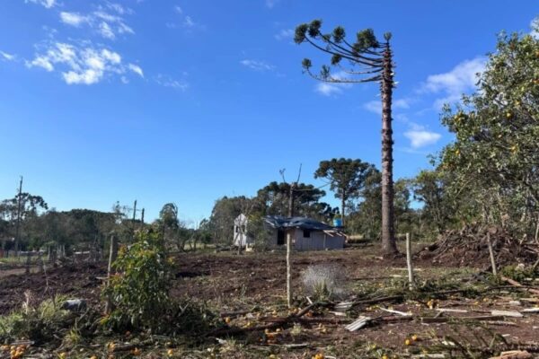 Tornado F2 destrói casas em Reserva no Paraná