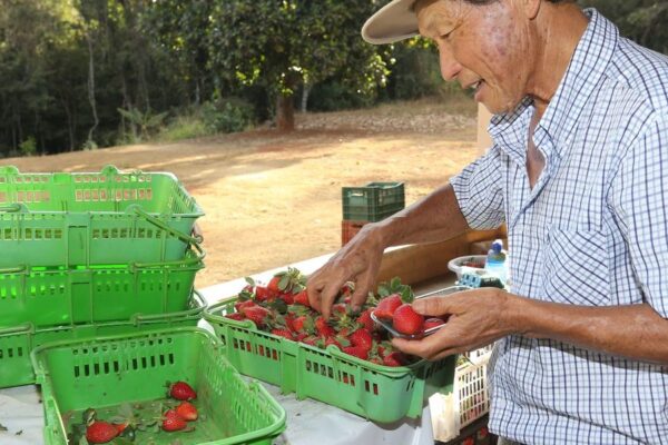 Finep destina R$ 220 milhões para tecnologia agrícola