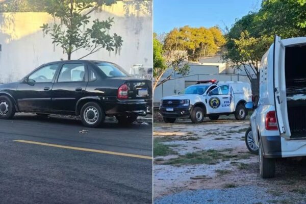 Polícia Civil detém homem por maus-tratos em Goiânia