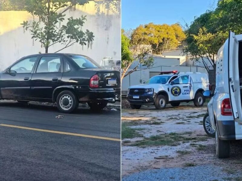 Polícia Civil detém homem por maus-tratos em Goiânia