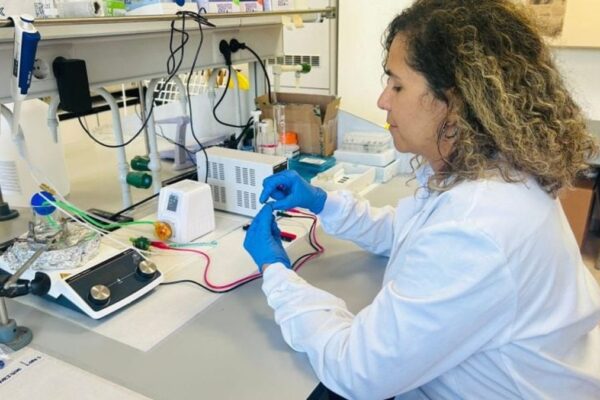 Pesquisadores do CINE otimizam fabricação de ânodos industriais