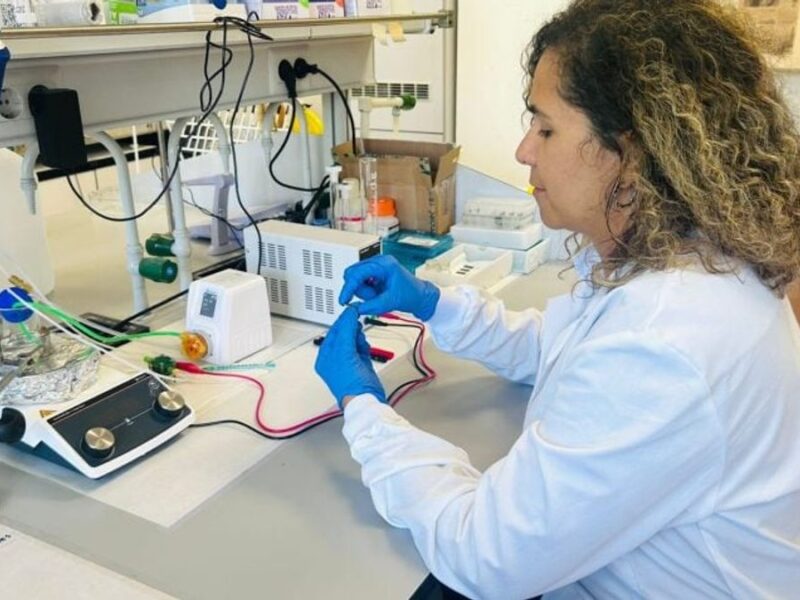 Pesquisadores do CINE otimizam fabricação de ânodos industriais