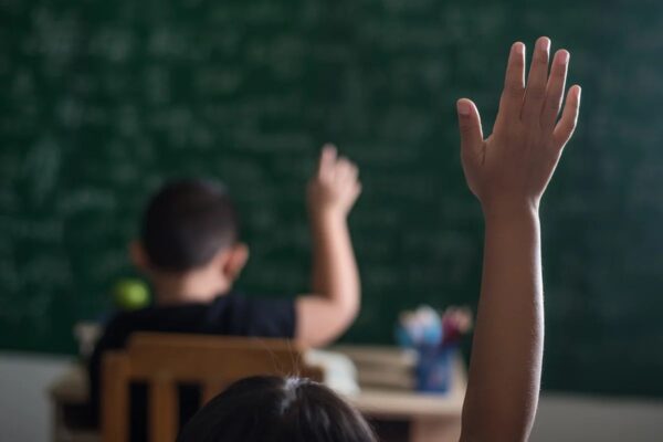 Dulcineia Marques lidera comissão de saúde mental escolar