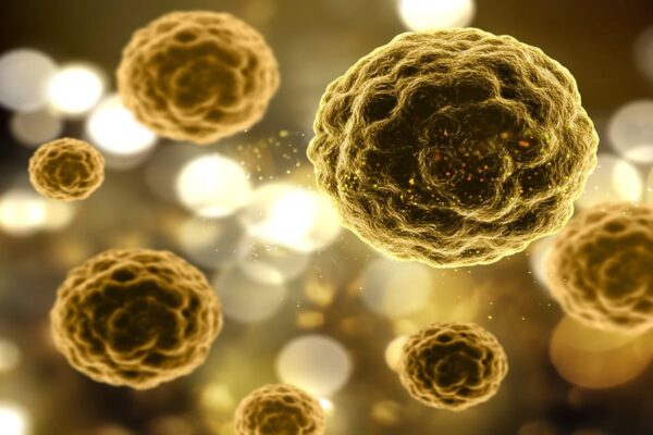 Médicos recomendam triagem universal para hepatites virais