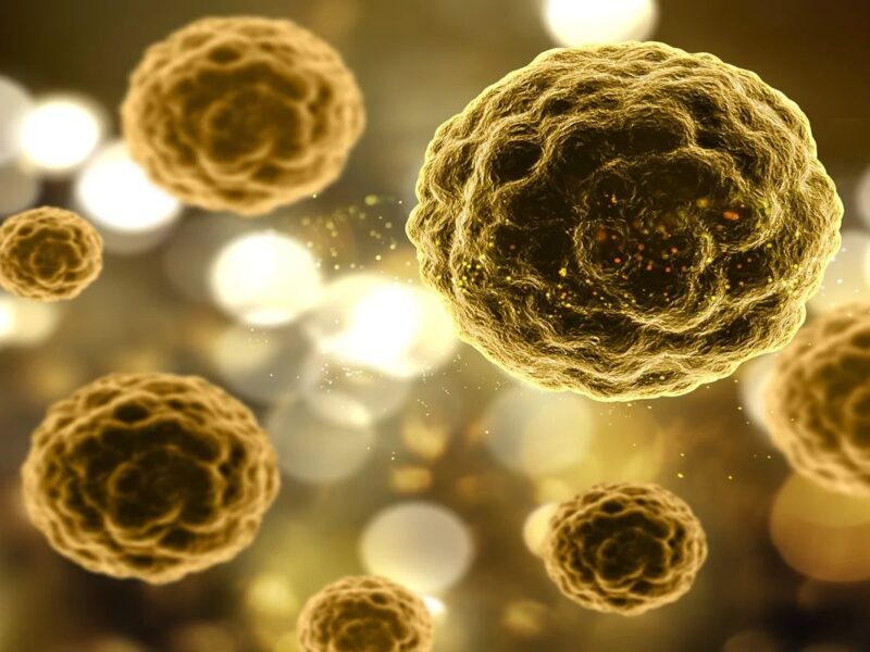 Médicos recomendam triagem universal para hepatites virais